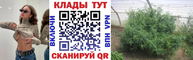 Где можно купить наркотики Сурск АМФЕТАМИН Меф Марихуана