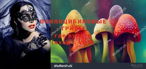 прущая мука Абаза